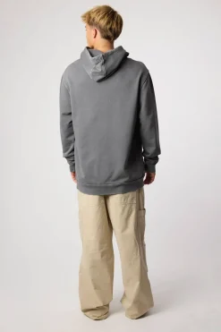 SUDADERA CON CAPUCHA ICONIC ASH