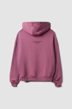 SUDADERA CON CAPUCHA WIPEOUT BERRY